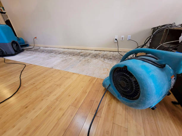 Professional Basement Flood Cleanup technician working in Bastrop, TX